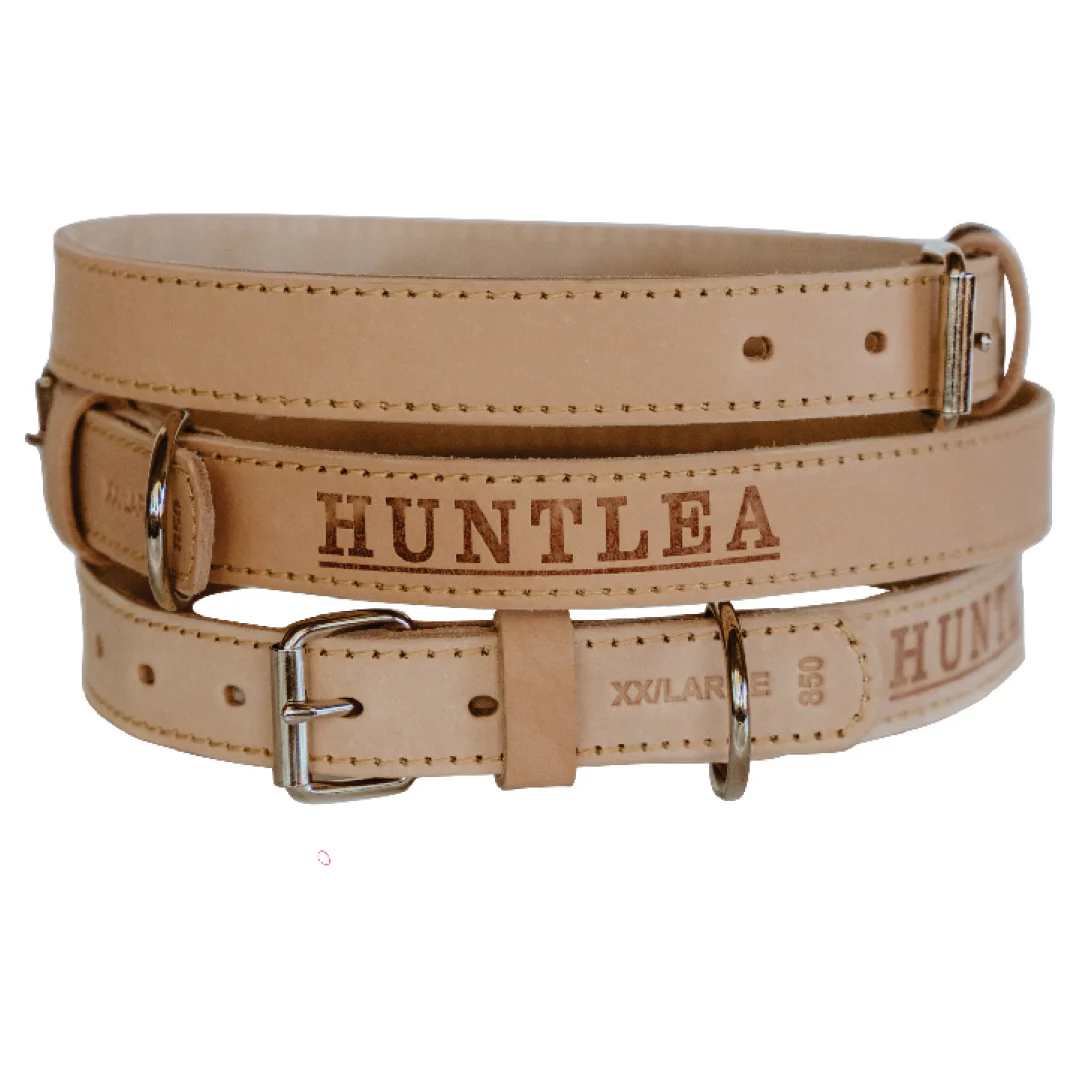 Impala Heavy Plain Dog Leather Collar - Image 2