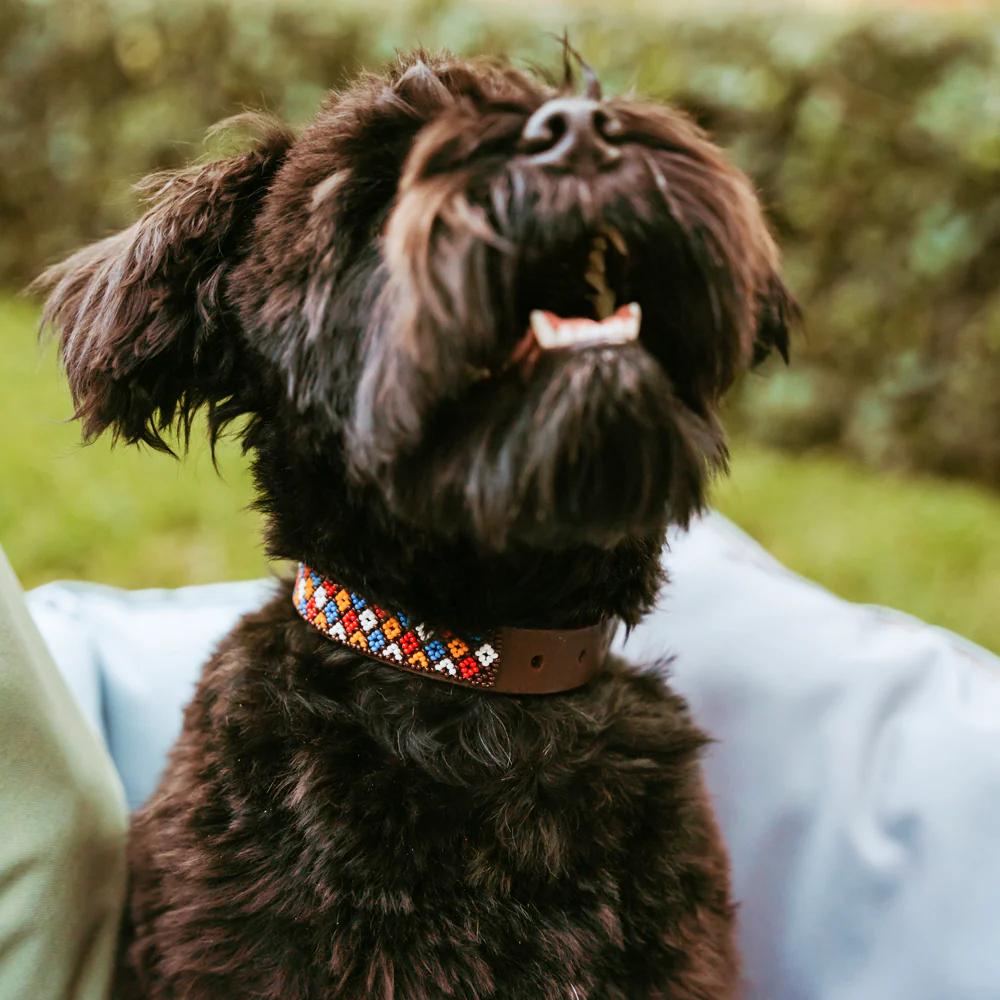 Huntlea Beaded Dog Collar Daisy