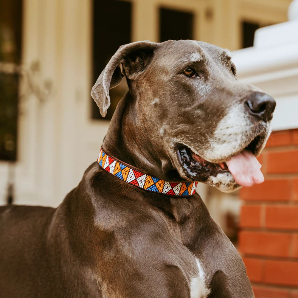 Huntlea Beaded Dog Collar Bow