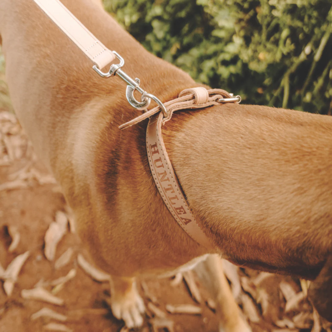 Huntlea Impala Leather Dog Lead - Image 3