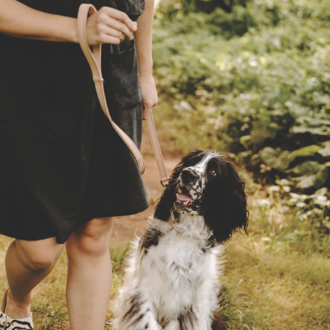 Huntlea Impala Leather Dog Lead - Image 2