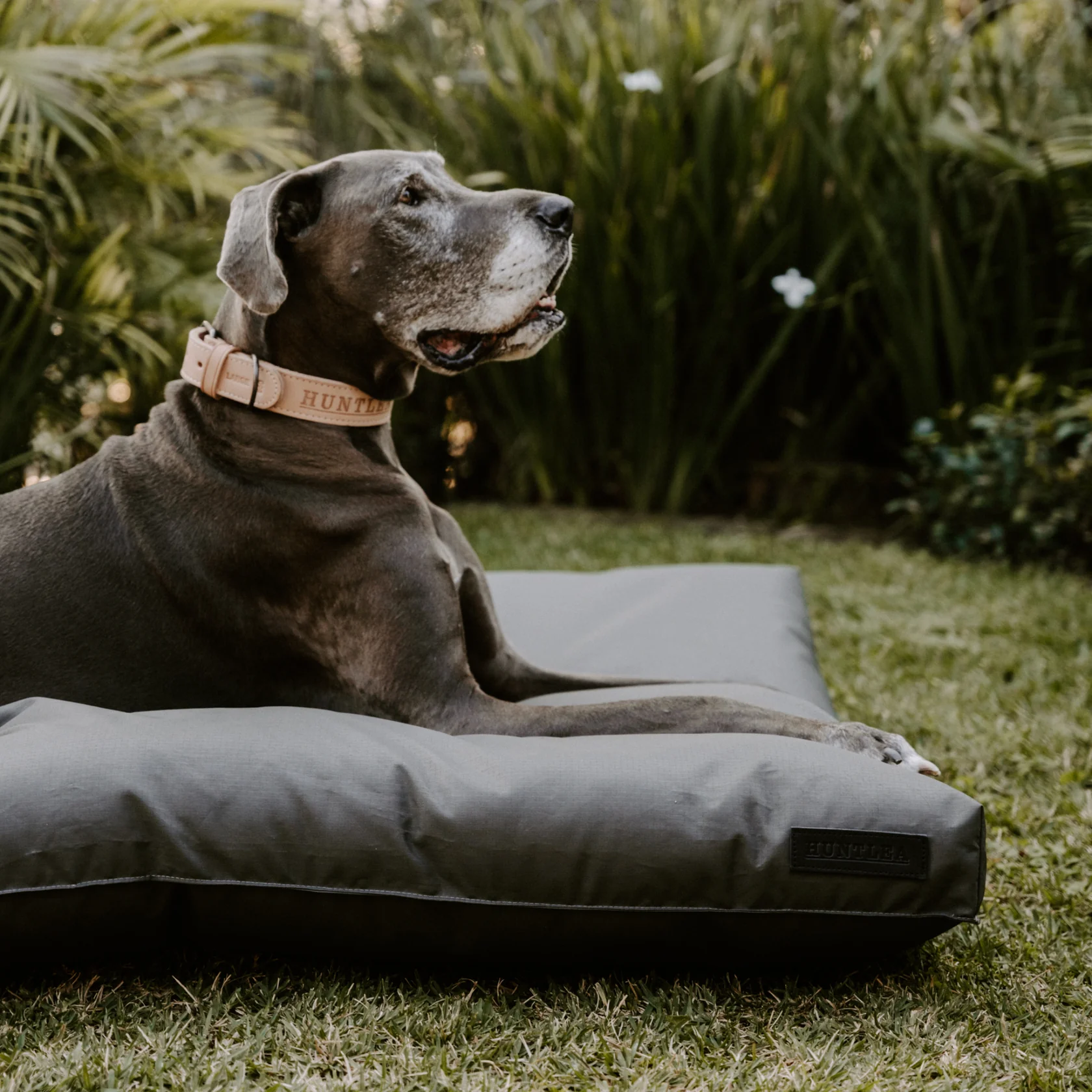 Huntlea Kalahari Napper Dog Bed - Image 2
