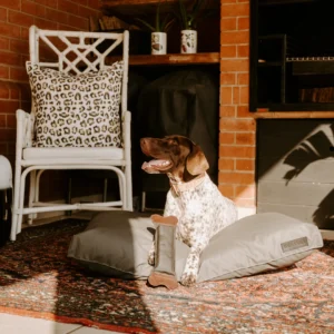 KalahariNapper3.png Huntlea Kalahari Napper Dog Bed