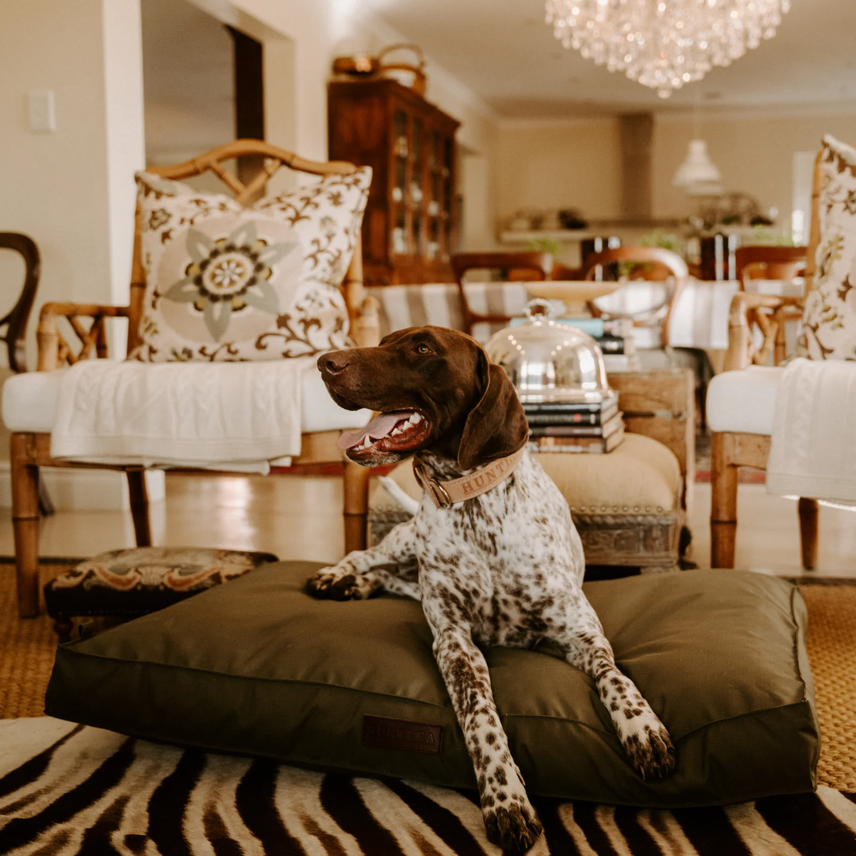 Huntlea Kalahari Orthopaedic Dog Bed - Image 5