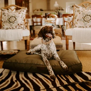 KalahariOrthopaedic3.png Huntlea Kalahari Orthopaedic Dog Bed