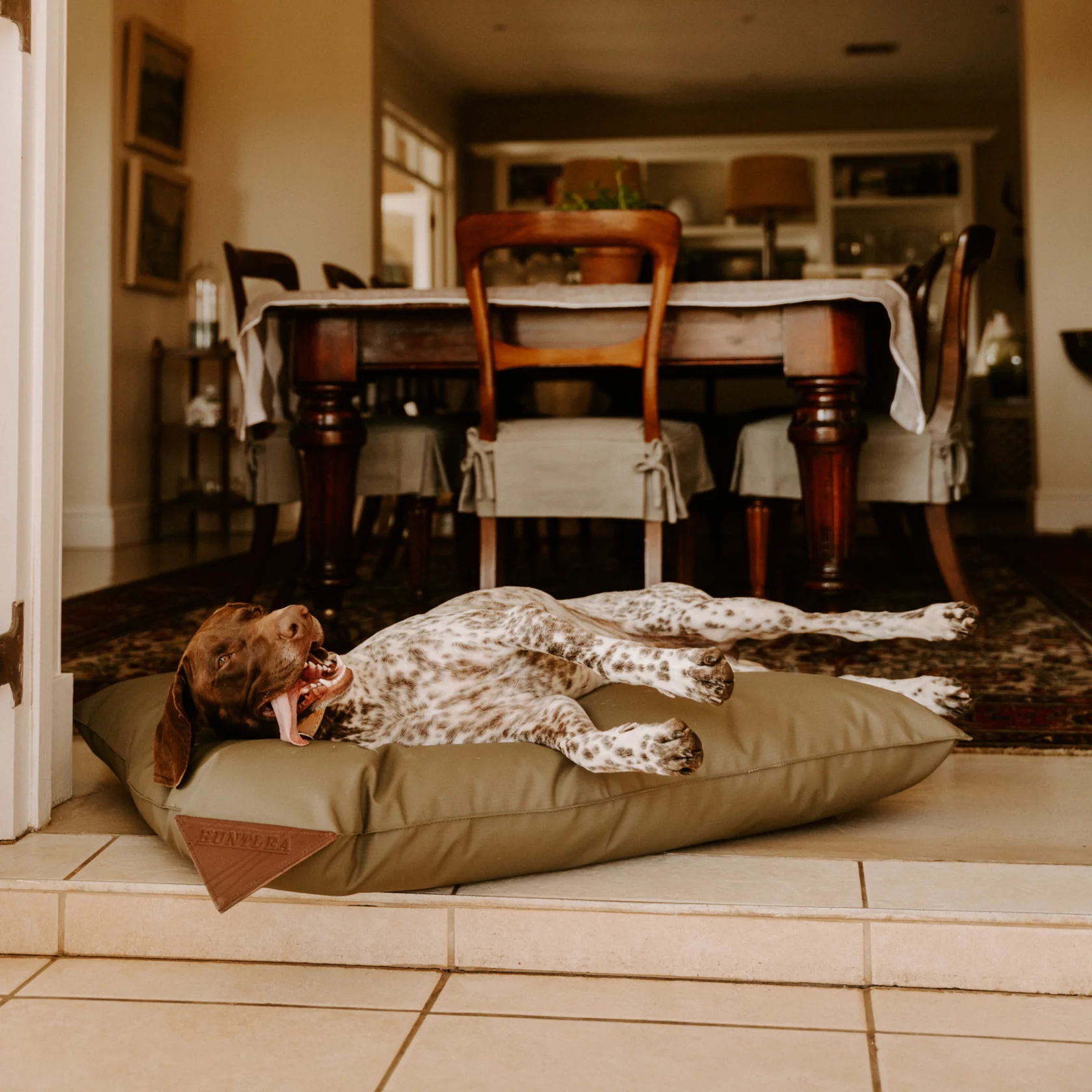 Huntlea Kalahari Pillow Dog Bed - Image 4