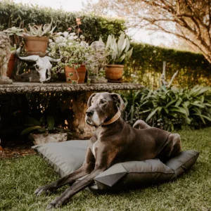 KalahariPillow2.png Huntlea Kalahari Pillow Dog Bed