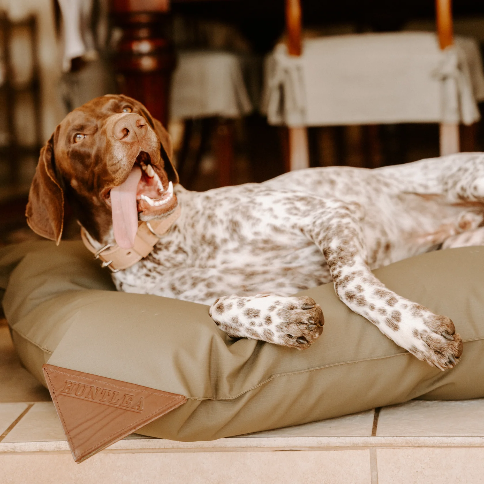 Huntlea Kalahari Pillow Dog Bed - Image 2