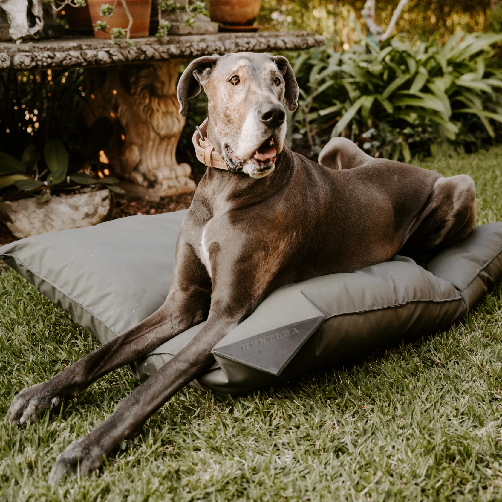 Huntlea Kalahari Pillow Dog Bed - Image 3