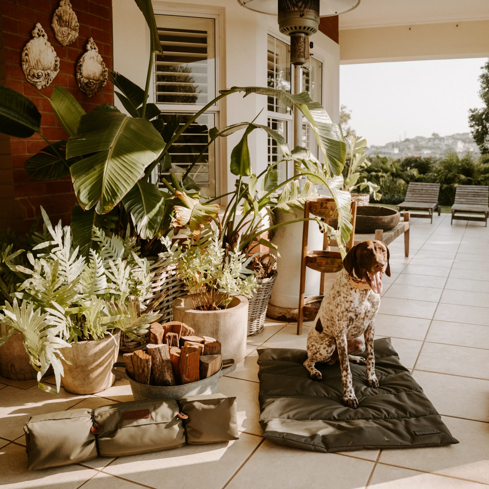 Huntlea Kalahari Travel Dog Mat - Image 2