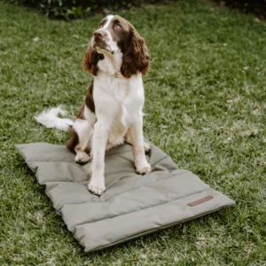 Kalahari_travel_mat_-_Lifestyle_1080px.png Huntlea Kalahari Travel Dog Mat