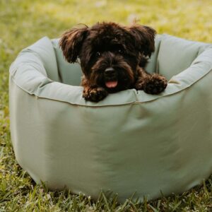 Koletto Hi Rise Round Dog Bed