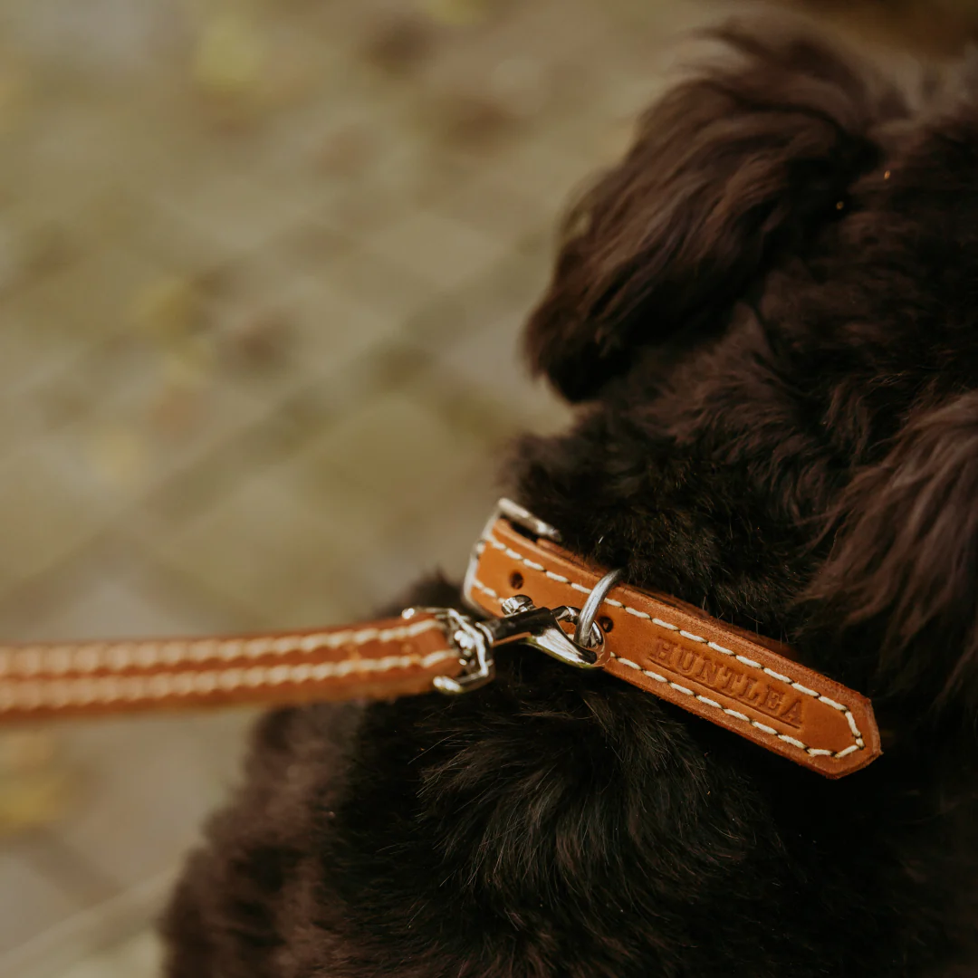Huntlea Leopard Dog Leather Collar