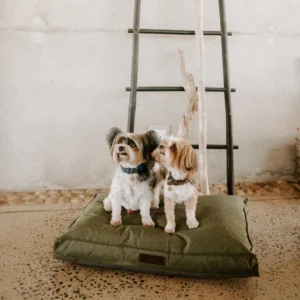 Huntlea Urban Mattress Dog Bed