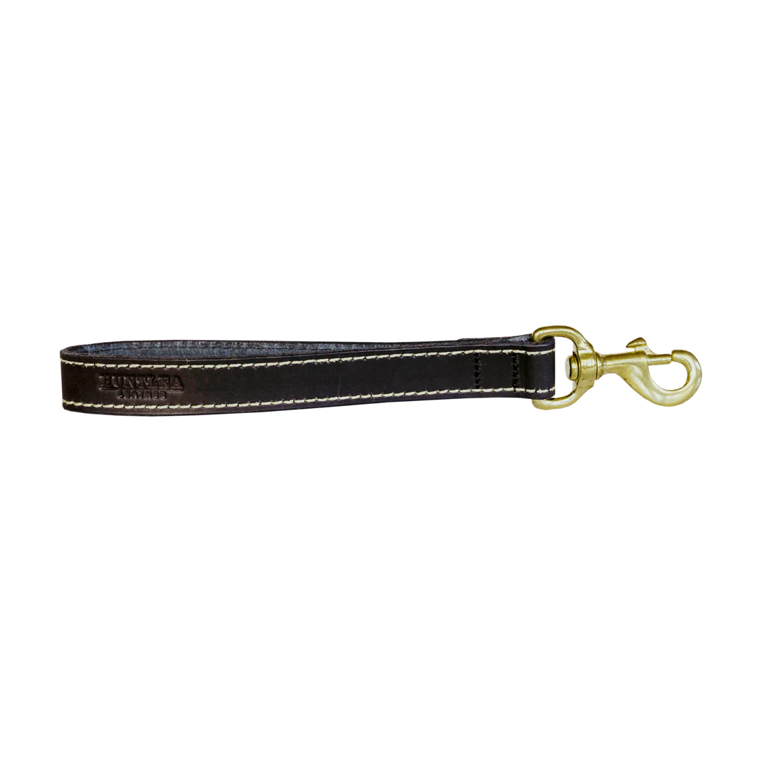 Huntlea Lion Dog Leather Lead Close Contact - Image 2
