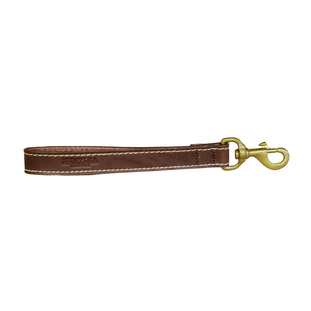 Huntlea Lion Dog Leather Lead Close Contact