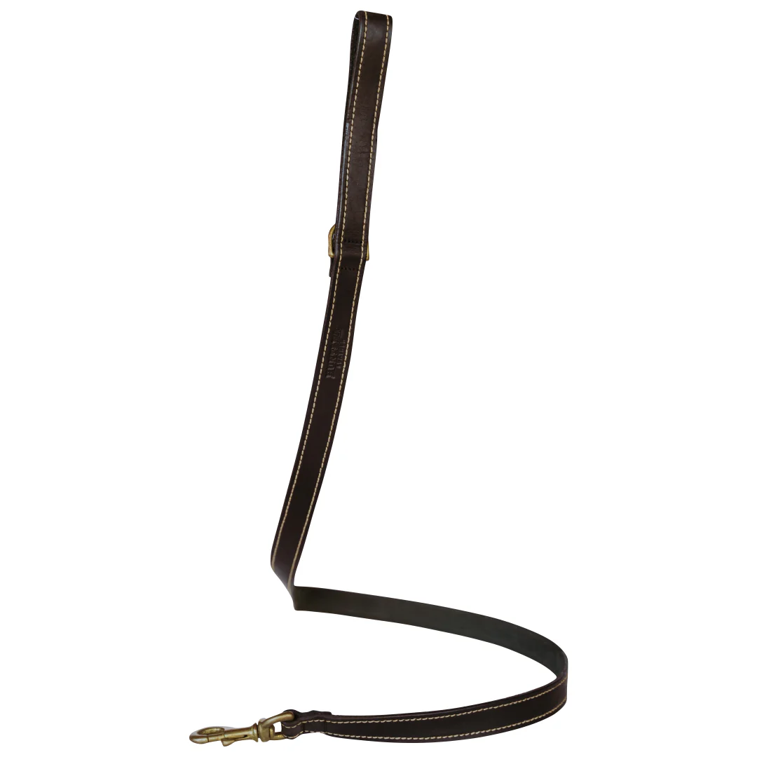Huntlea Lion Dog Leather Lead