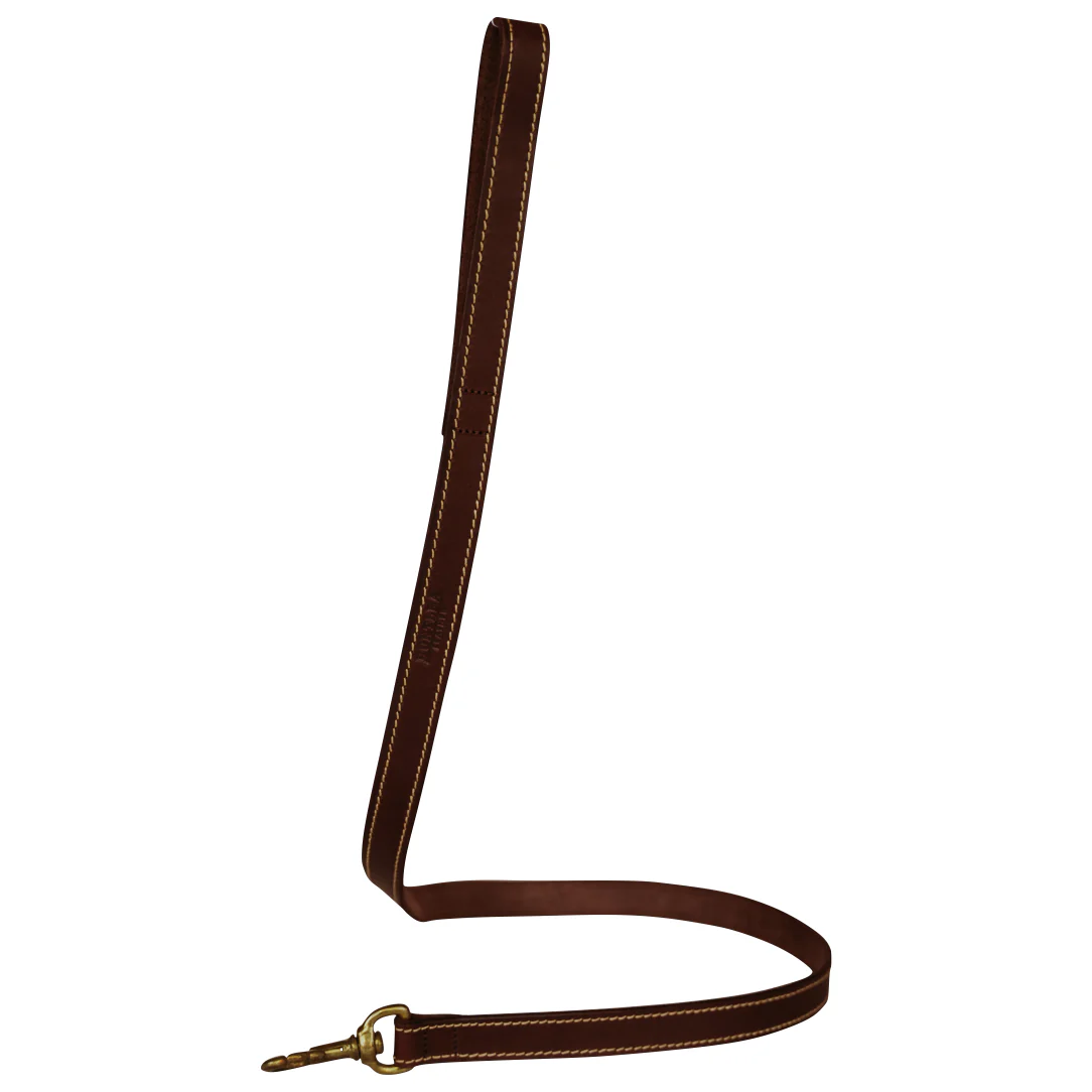 Huntlea Lion Dog Leather Lead - Image 2