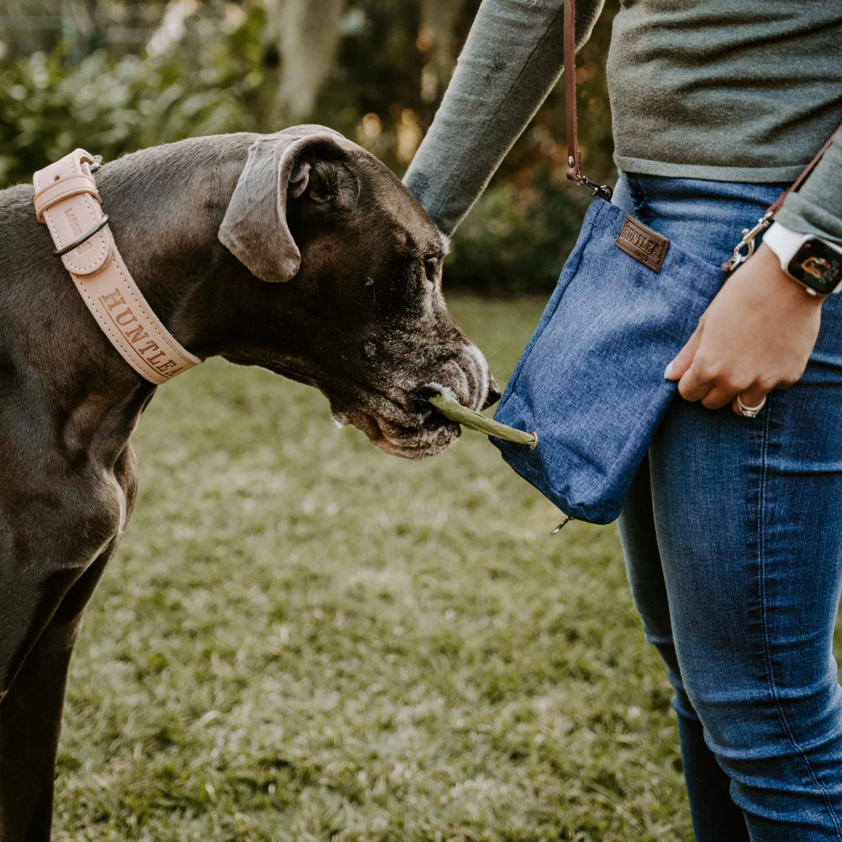Huntlea Multi Purpose Dog Treat Bag - Image 2