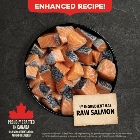 Acana Classics Wild Coast Dog Recipe - Image 6