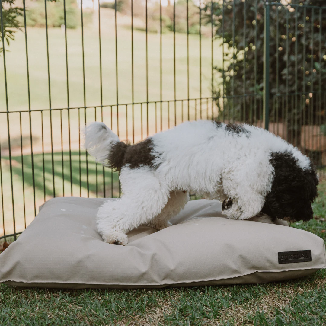 Huntlea Kalahari Napper Dog Bed - Image 5