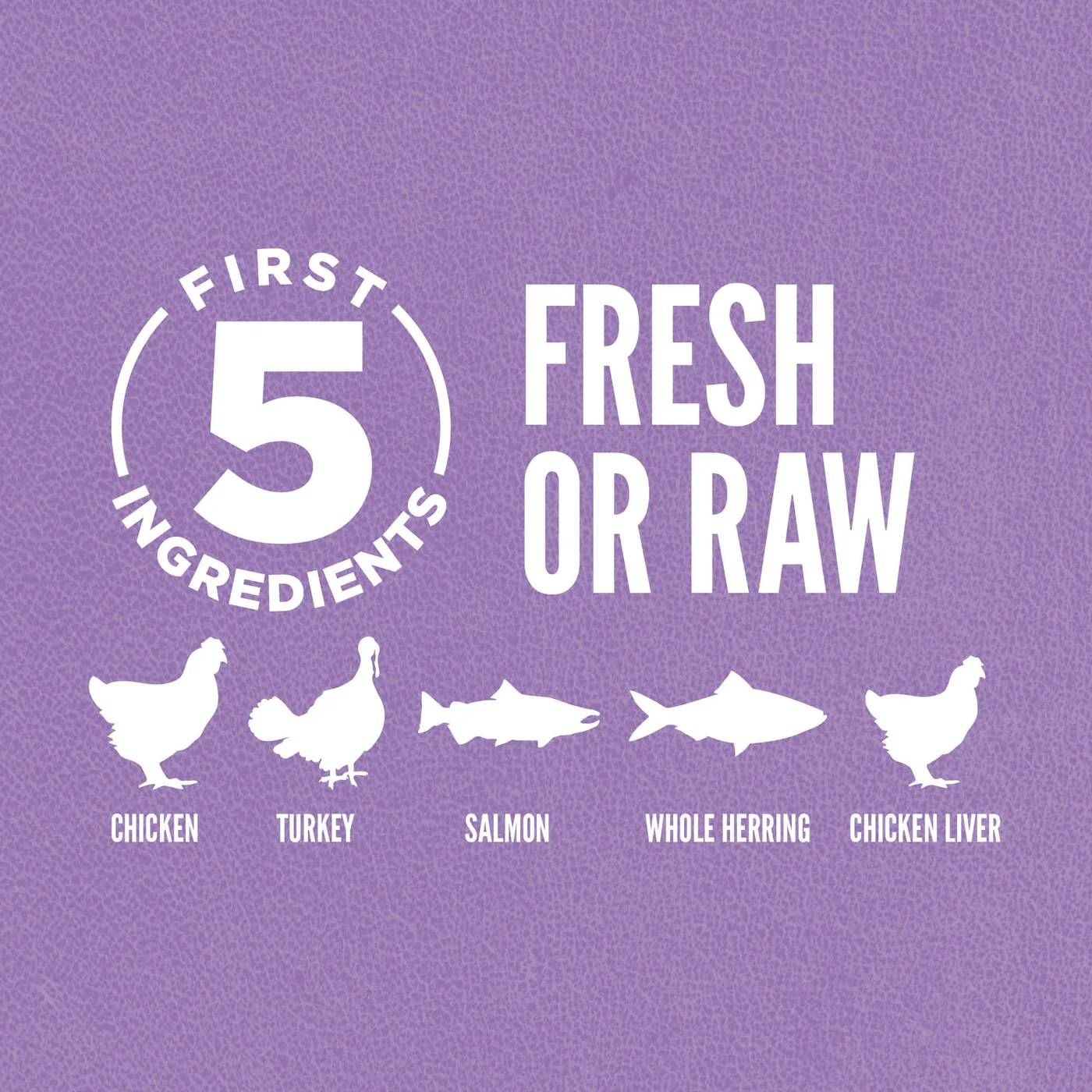 Orijen Kitten - Image 5