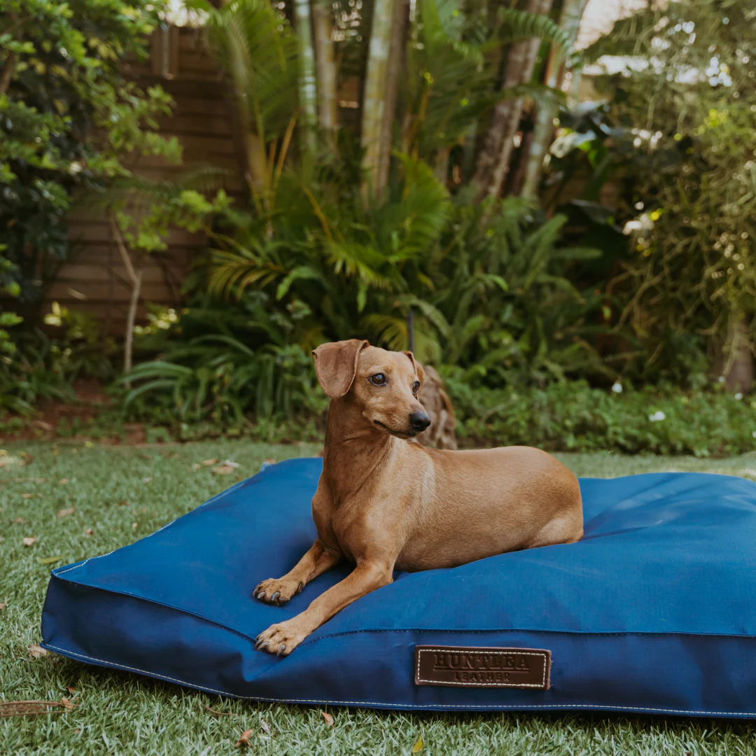 Huntlea Original Mattress Dog Bed