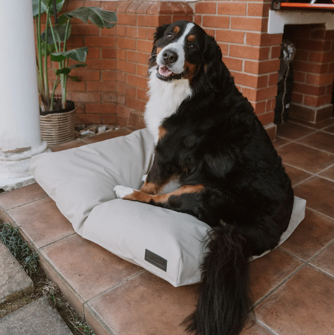 Huntlea Kalahari Orthopaedic Dog Bed - Image 4