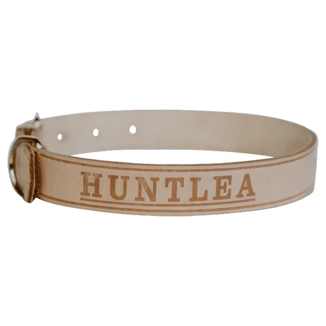 Impala Plain Dog Leather Collar - Image 4