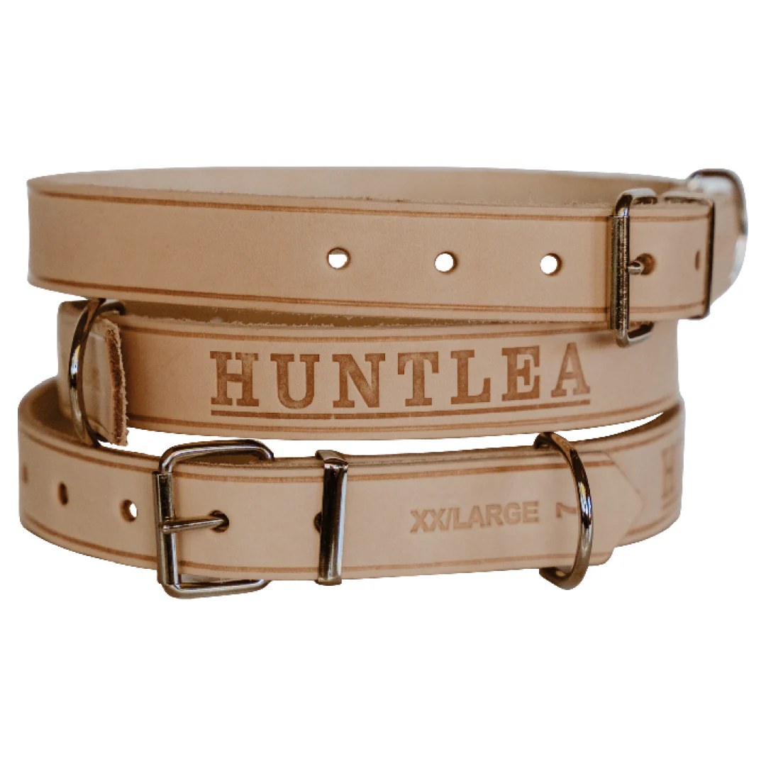 Impala Plain Dog Leather Collar - Image 3