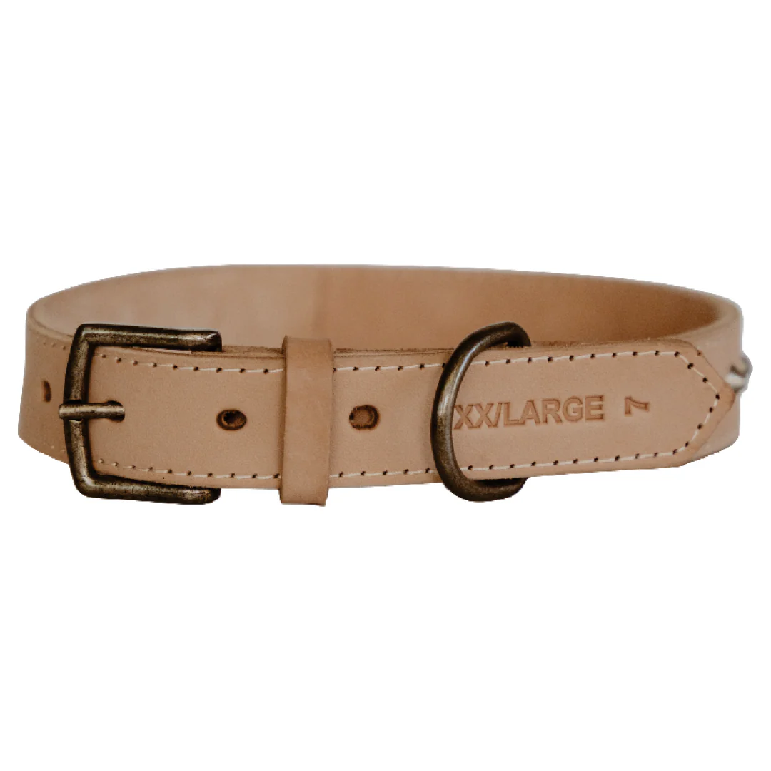 Impala Studded Dog Leather Collar - Image 6