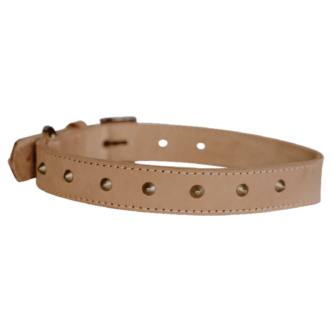 Impala Studded Dog Leather Collar - Image 5