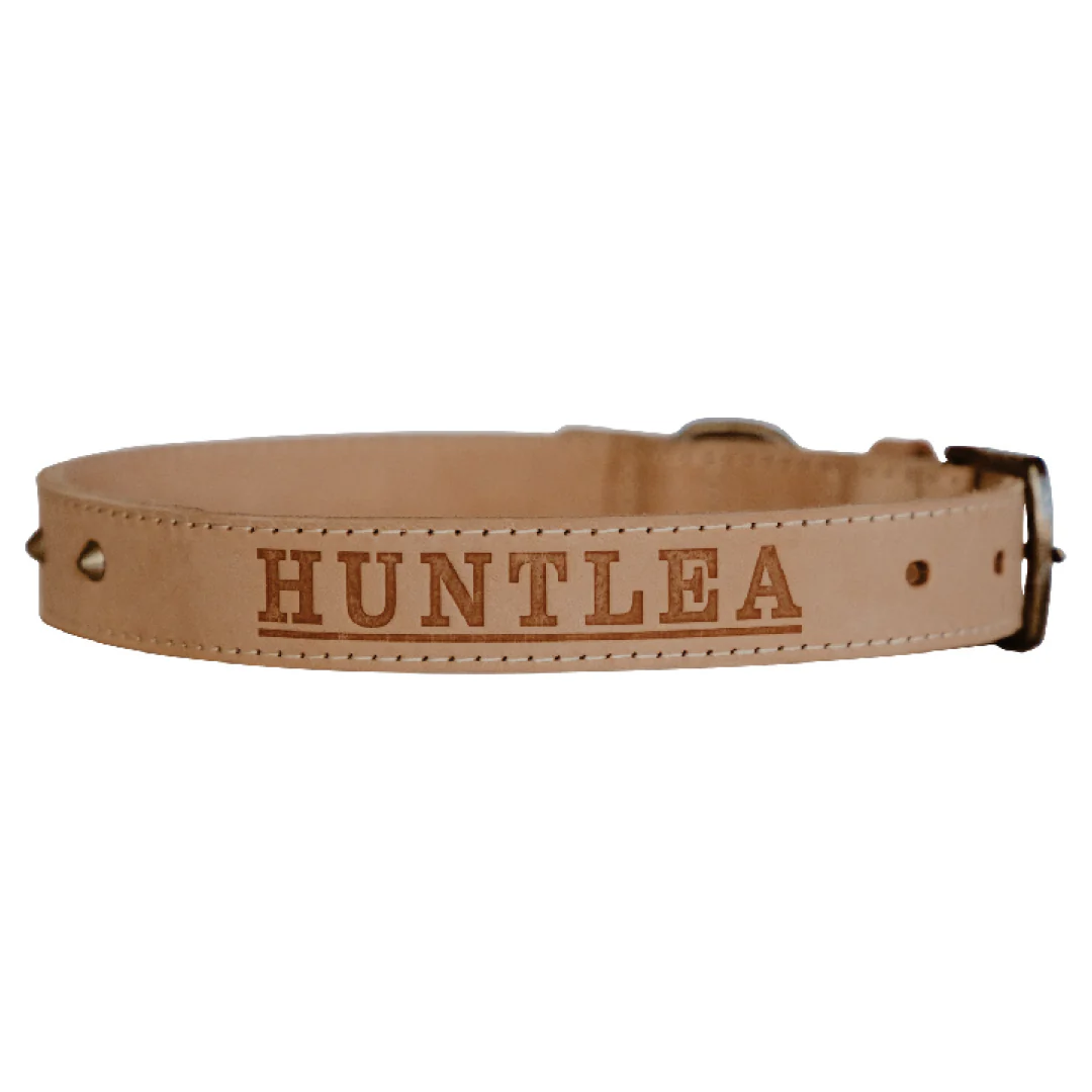 Impala Studded Dog Leather Collar - Image 4