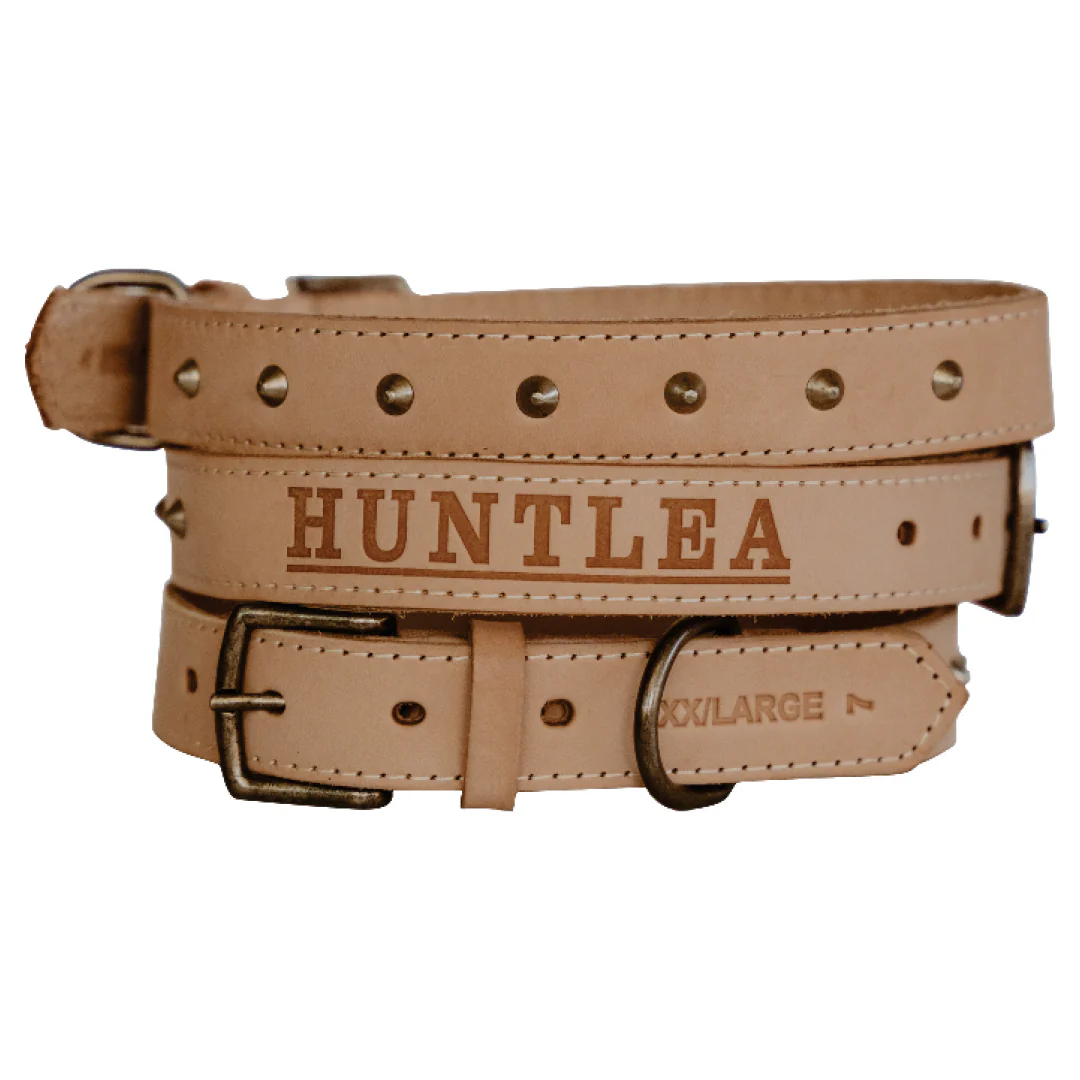 Impala Studded Dog Leather Collar - Image 2