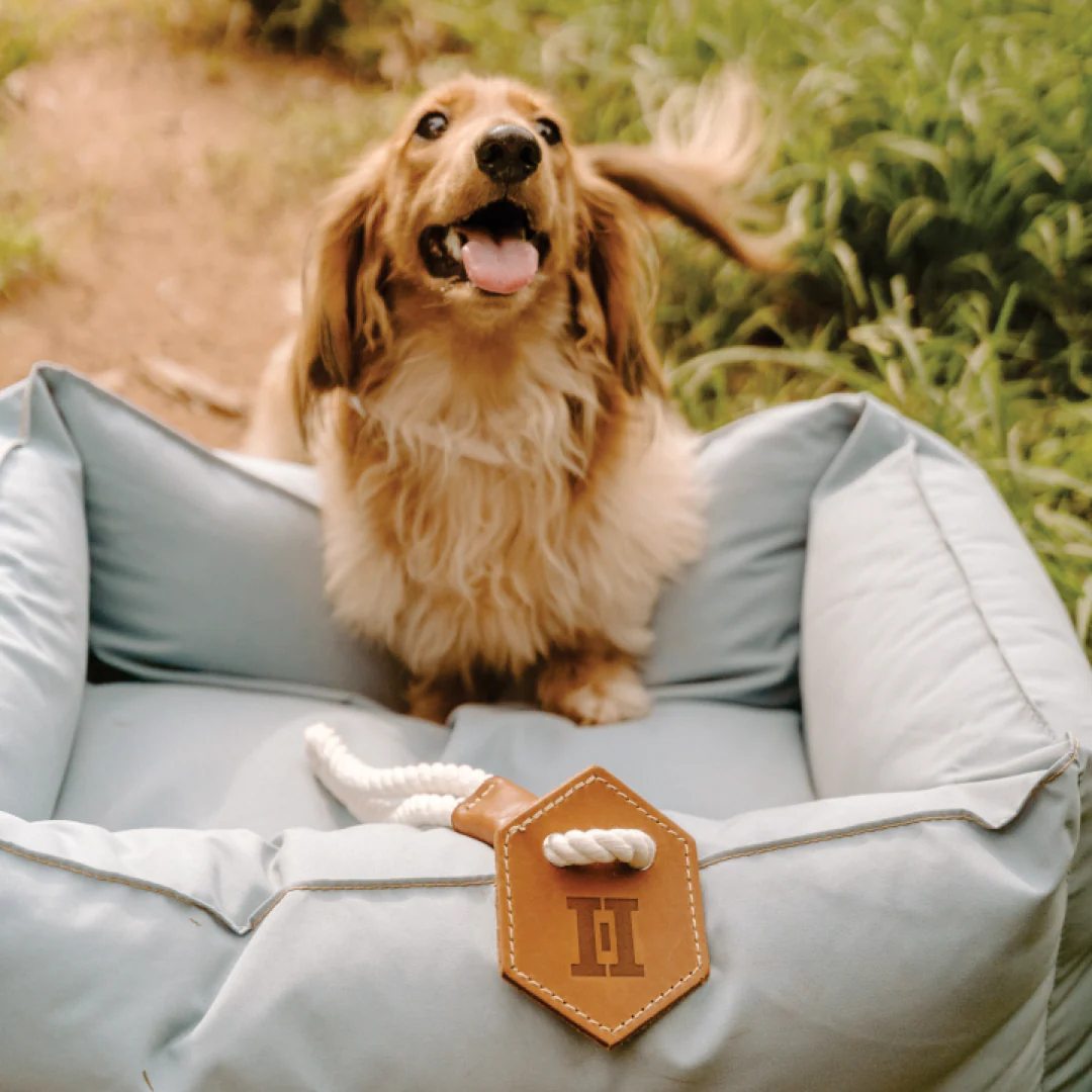 Huntlea Dog Tug Toy with Hex Leather