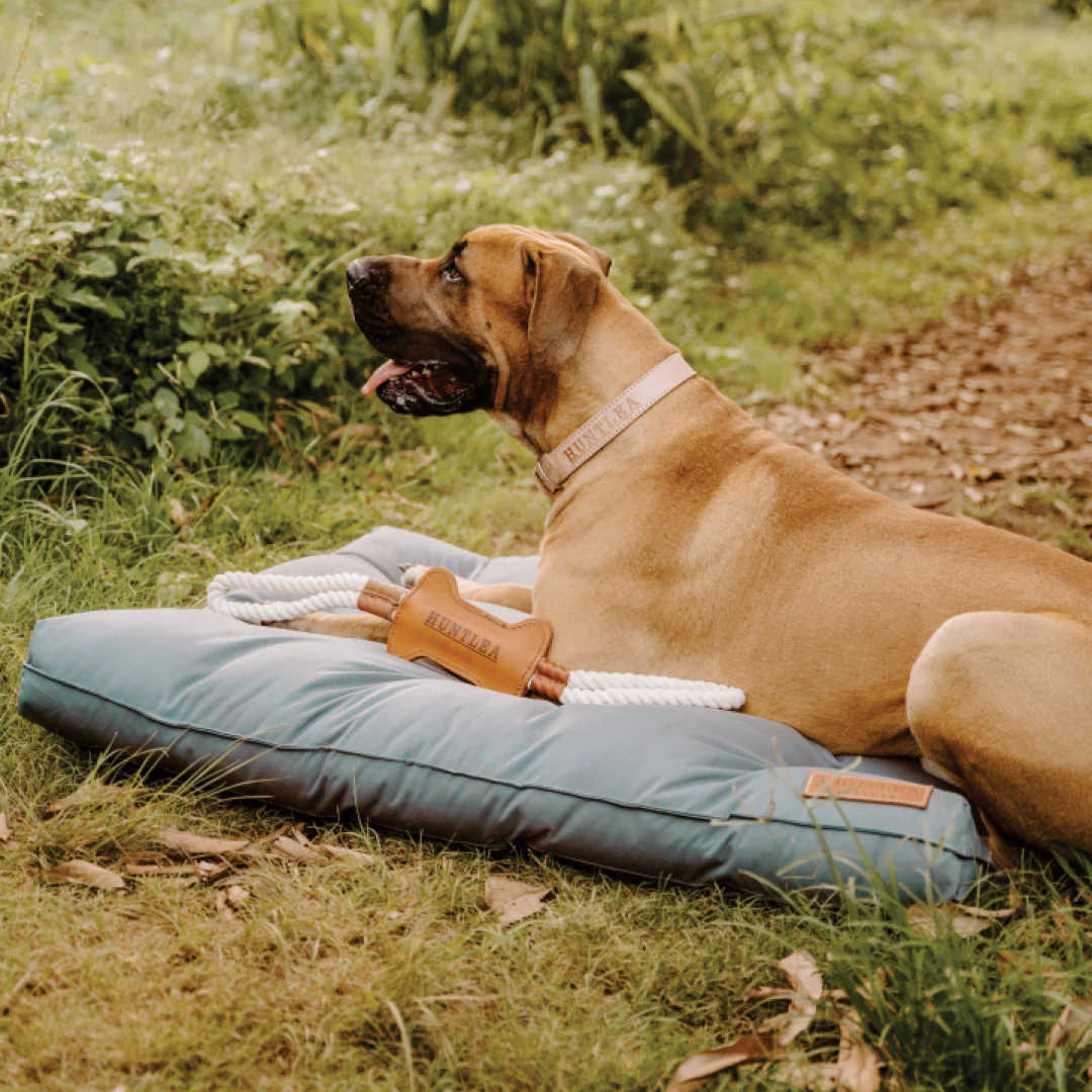 Huntlea Dog Tug Toy with Leather Bone Centre - Image 2