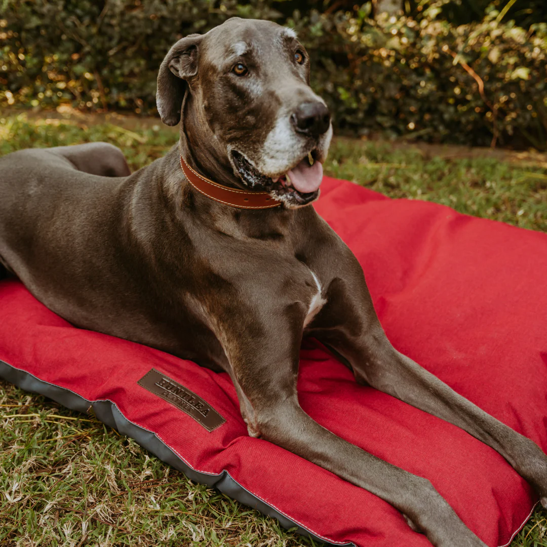 Huntlea Urban Pillow Dog Bed