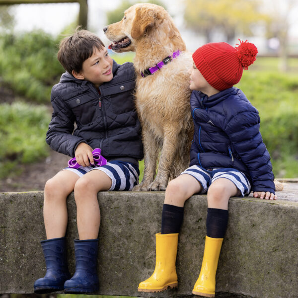 Amphibian Classic Collar - Image 14