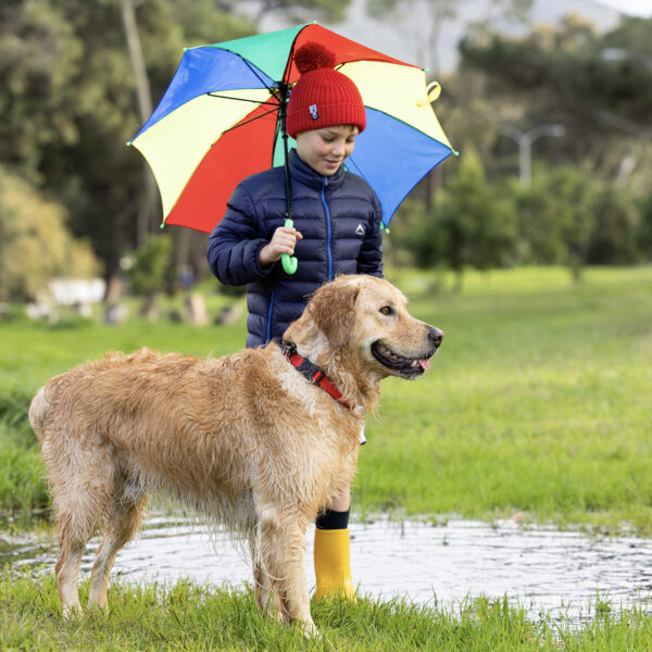 Amphibian Classic Collar - Image 12