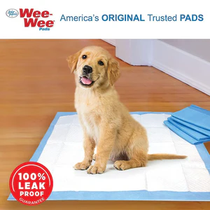 Wee-Wee Little Dog Training Pads - Image 7