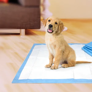 Wee-Wee Superior Performance Dog Training Pads - Image 15