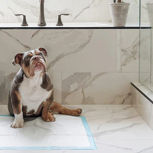 Wee-Wee Superior Performance Dog Training Pads - Image 11