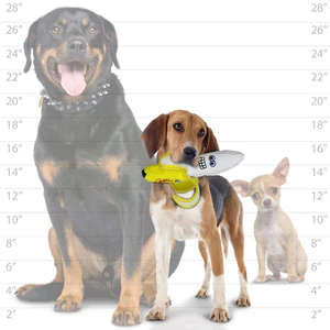 Tuffy Funny Food - Banana - Image 4