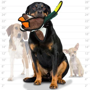 Tuffy Barnyard Duck - Image 7