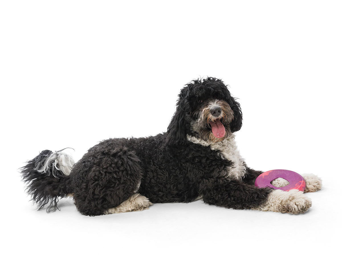 Seaflex Sailz - Image 5