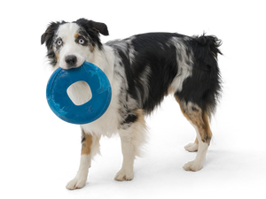 Seaflex Sailz - Image 2