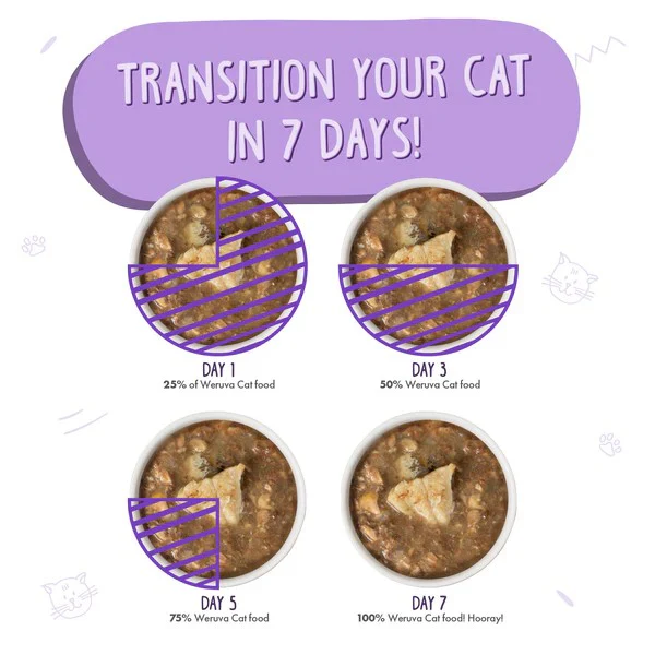 Polynesian BBQ - Image 5