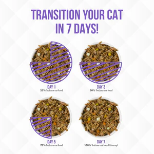 Steak Frites - Image 5