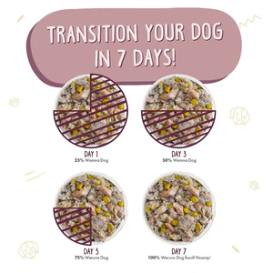 Hot Dayam! - Image 6