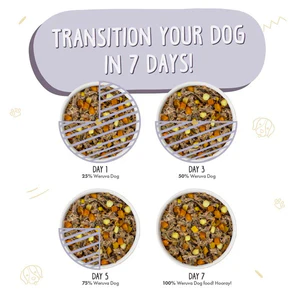 Steak Frites - Image 4